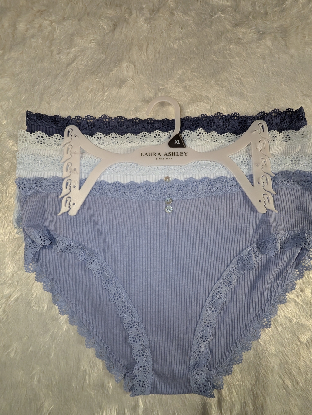 Laura Ashley Women’s Lace-Trim Bikini Briefs - Blue & White